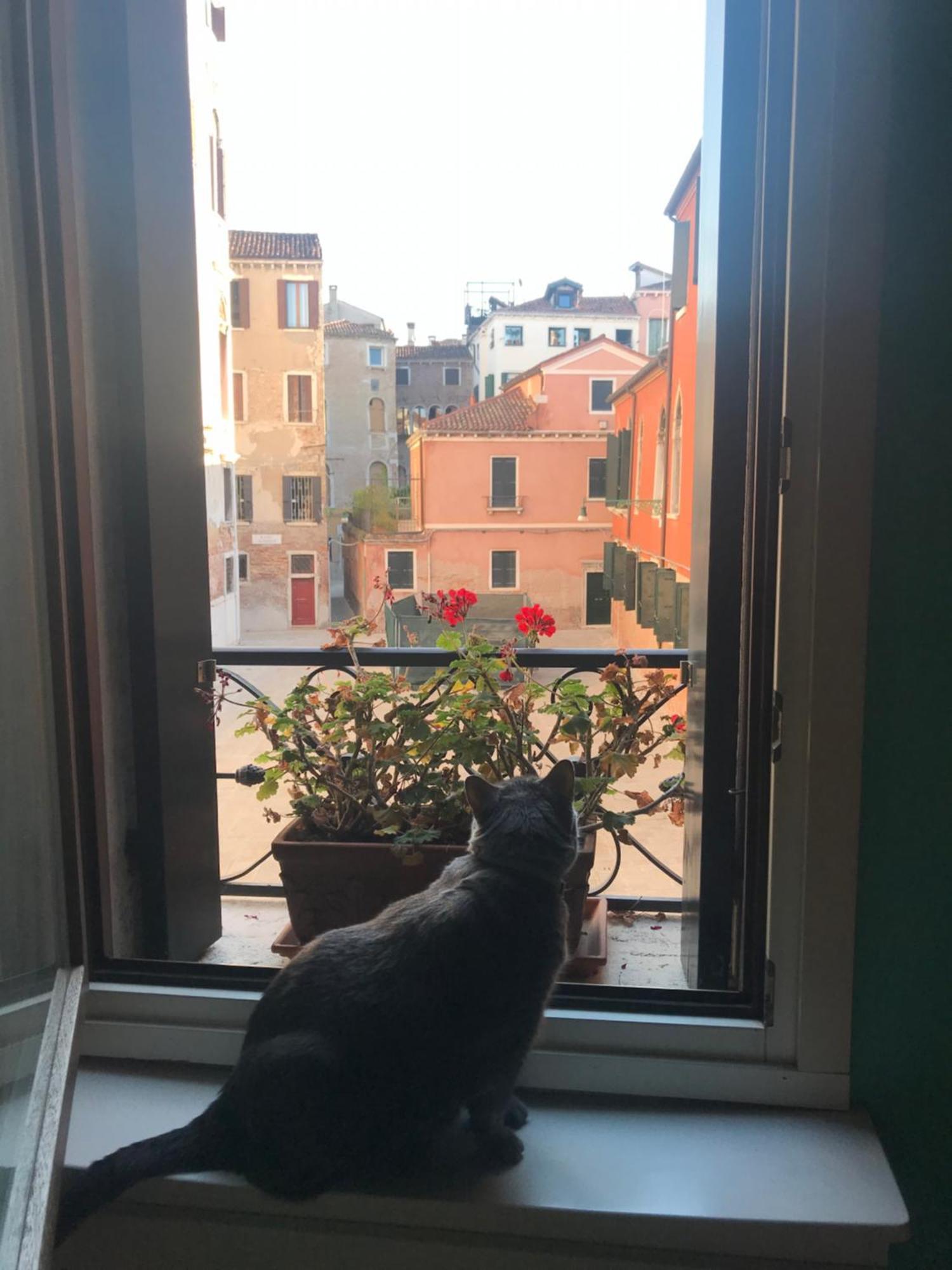 Albrizzi Charme Apartment Venezia Esterno foto